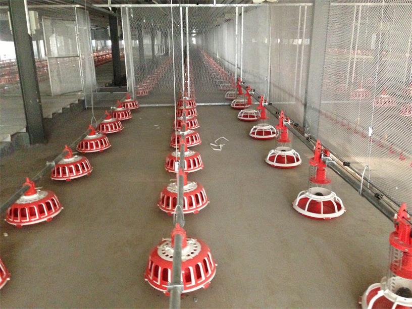 索盤環繞盤式種雞喂料系統