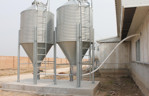 養雞自動喂料系統